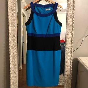 Calvin Klein Fitted Career Dress